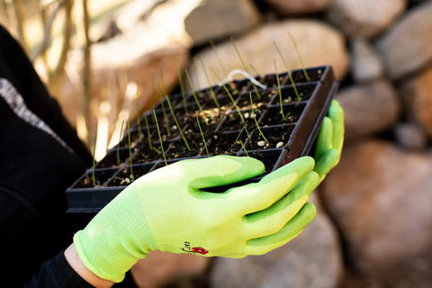 Person holding seed tray wearing Women Gardening Gloves With Micro Foam Palm Coating And Textured Grip For Weeding Digging Raking And Pruning