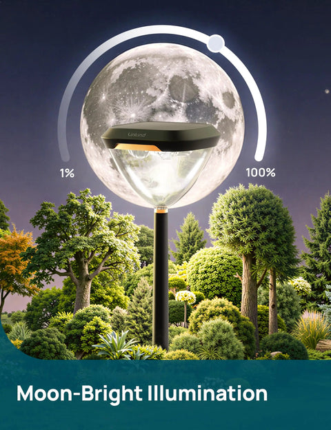 8 Pack Solar Pathway Lights Color Changing RGB Garden Lights 200 Lumen Waterproof IP65 Outdoor Solar Powered Yard Walkway