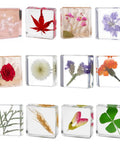 12 Pack Tiny Nature Plant Specimens In Resin For Crystal Clear Close Ups And Study, Science Classroom Decor And Novelty Craft Ornaments.
