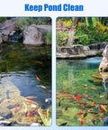 Clear pond water with colorful fish demonstrating pond maintenance using Replacement Pond Filter Sponge Set For Anbull And Vivohome 950GPH 1370GPH Pond Filter Pumps Four Pieces Coarse And Fine Bio Sponge Pads For Multi Stage Filtration Pro Grade Easy Fit And Durable.