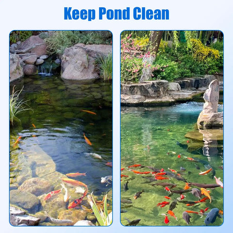 Clear pond water with colorful fish demonstrating pond maintenance using Replacement Pond Filter Sponge Set For Anbull And Vivohome 950GPH 1370GPH Pond Filter Pumps Four Pieces Coarse And Fine Bio Sponge Pads For Multi Stage Filtration Pro Grade Easy Fit And Durable.