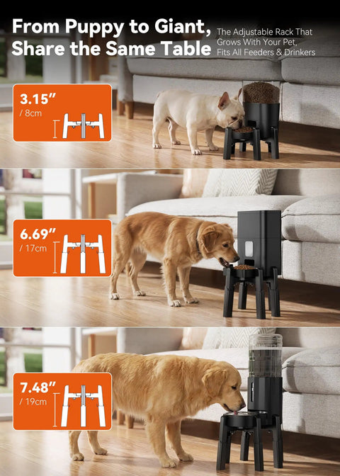 Fully Adjustable Extra Large Dog Bowl Stand For Big Paws with three height settings for large dogs, black ABS material.