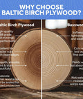 Baltic Birch plywood cross-section (left) vs Basswood cross-section (right) with visible growth rings.