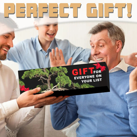 Man receiving Indoor Bonsai Garden Starter Kit With Five Seed Varieties Acacia Wisteria Red Maple Black Pine Judas Tree Easy Grow Kit as a gift