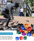 Person feeding pigeons with Lightweight Aluminum Alloy Bird Leg Rings With Mixed Colors 50 Pack For Tagging, visible in foreground.