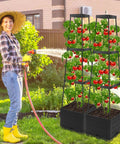 2 Pack Tomato Planter Pots With Raised Bed Trellis And 45 Inch Climbing Cages For No Fuss Self Watering Indoor Outdoor Garden Beds