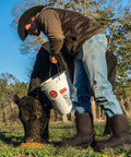 Person wearing Steel Toe Waterproof Wellington Style Mens Work Boots With Full Grain Leather Pull On Non Slip EH Protection feeding cows on farm