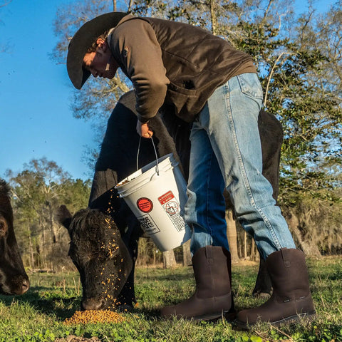 Person wearing Steel Toe Waterproof Wellington Style Mens Work Boots With Full Grain Leather Pull On Non Slip EH Protection feeding cows on farm