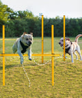 Dogs using 2.6 Ft Dog Agility Obstacle Course Backyard Set With Wave Poles And Adjustable Hurdles Pack Of 3 Yellow For Training And Exercise