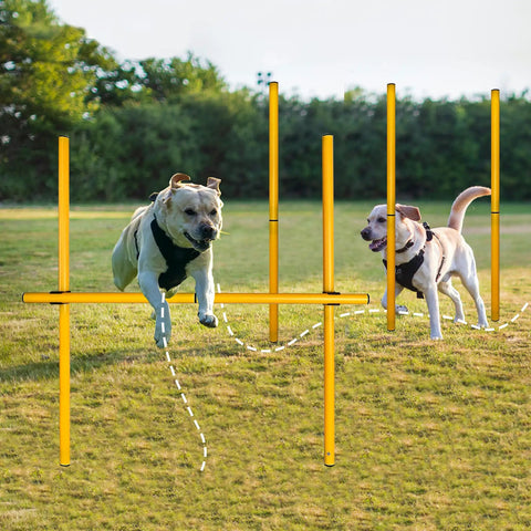 Dogs using 2.6 Ft Dog Agility Obstacle Course Backyard Set With Wave Poles And Adjustable Hurdles Pack Of 3 Yellow For Training And Exercise
