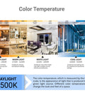Color temperature guide showing 6500K daylight ideal for Quad Tube Plug In CFL Lamp 27W 1500 Lumens 6500K Daylight.
