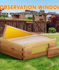 Langstroth 10 Frame Beehive Medium Super Box with window showing beeswax-coated wooden frames, ideal for easy beekeeping.