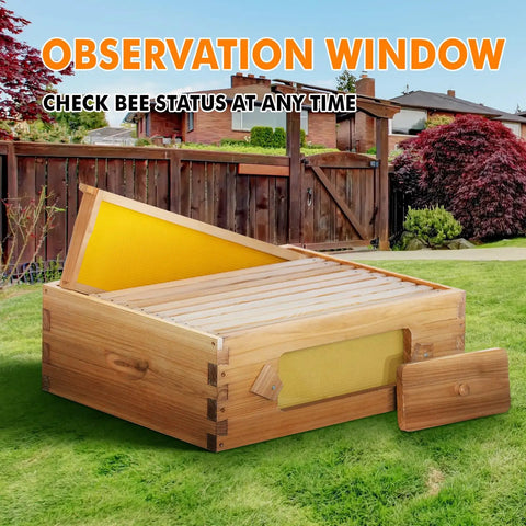 Langstroth 10 Frame Beehive Medium Super Box with window showing beeswax-coated wooden frames, ideal for easy beekeeping.
