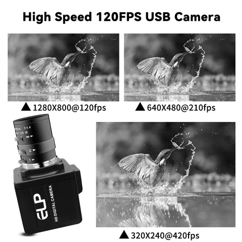 USB Global Shutter Camera Featuring 800P Monochrome Sensor, Ridiculously Smooth 120 To 640 Fps Ultra Slow Motion Video, Tight Snappy Framing For PC Systems And Labs in use capturing bird in water.