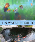 Fish swimming in an aquarium above garden pond with fish, text reads 'Wash in water prior to use'