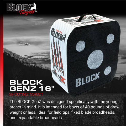 Open Archery Target for Youth 16 Inch With 40 Lb Draw Compatibility, easy arrow removal, friction stopping, multi-color surface