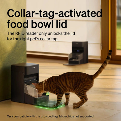 RFID Cat Feeder With Collar Tag Sensor For Personalized Meals, brown cat eating, anti theft, smart WiFi food dispenser for multi pet homes