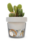 Hidden Storage Plant Pot Key Hider and Money Stash Safe with cacti and inner compartment for cash and keys shown