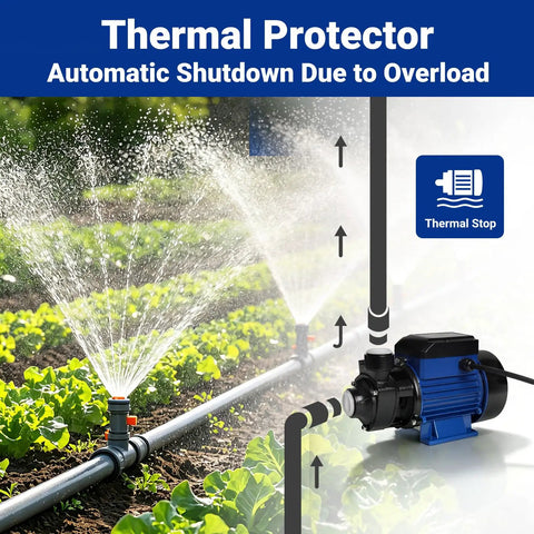 Heavy Duty 1/2Hp Cast Iron Water Transfer Pump Delivers 570Gph Steady Flow And 118Ft Head with thermal protector in garden watering setup.
