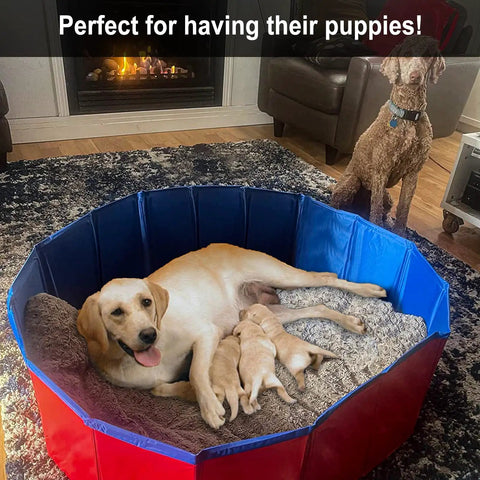 Portable Whelping Pool for Dogs and Pups, Foldable 47 Inch Birthing Pool with mother dog and puppies, Durable PVC and MDF Build