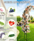 Beefy Heavy-Duty 25mm Thickened Steel Garden Arch Trellis 157 Inches Long By 105 Inches High supports flowers and climbing plants