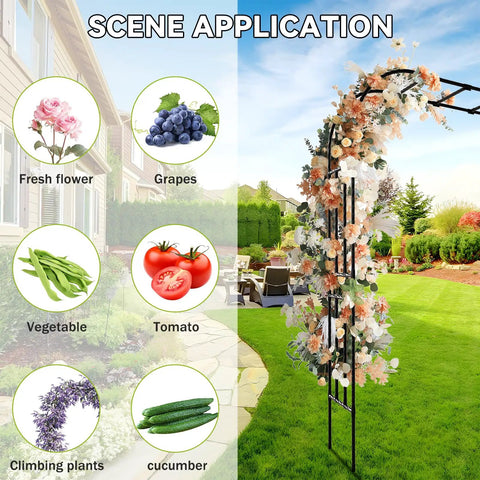 Beefy Heavy-Duty 25mm Thickened Steel Garden Arch Trellis 157 Inches Long By 105 Inches High supports flowers and climbing plants