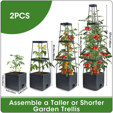 Raised Garden Bed Tomato Planter With Trellis, Self Watering System, 57 Inch Tomato Cages For Climbing Vegetables, indoor setup.