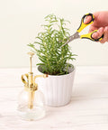Cutter Bee Precision Craft Scissors With Micro Tip For Small Details cutting herbs next to a misting bottle and potted plant