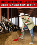Person using 3 Pack Manure Forks With Long Metal Handles Heavy Duty Muck Rake in barn with cows and hay pile, red fork, long reach.