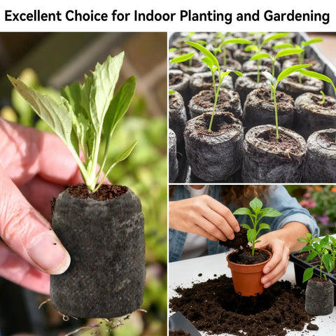 55 Pack 30Mm Peat Pellets For Seedlings, Compressed Garden Soil Pods That Expand With Water, Easy Seed Starter For Germination