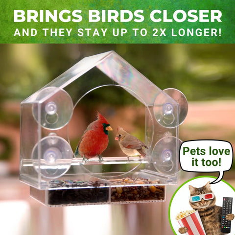Window Bird Feeder For Outdoors Weatherproof Transparent Acrylic With Enhanced Suction Grip Super Easy To Clean No Fuss Bird Watching From Your Window Great For Cats And Family Wildlife Enjoyment.