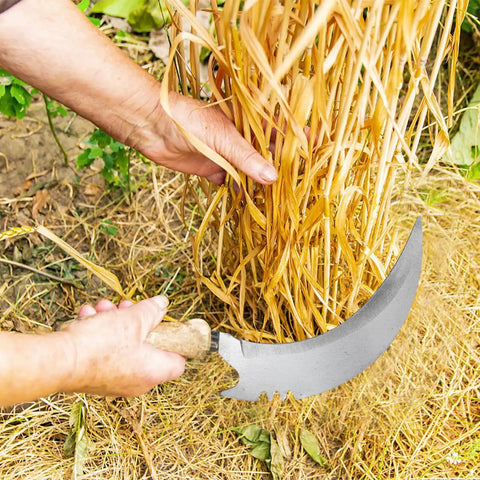 Person using Six Pack Weeding Sickle Replacement Heads With Three Styles Carbon Steel Blades For Garden Weed Removal on hay