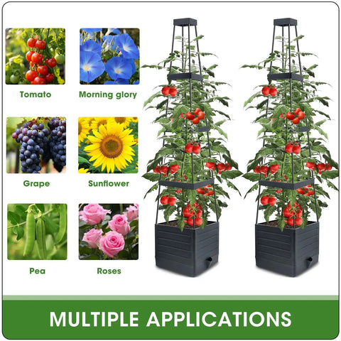 Raised Garden Bed Tomato Planter With Trellis, Self Watering System, 57 Inch Tomato Cages, Indoor Outdoor, Two Pack