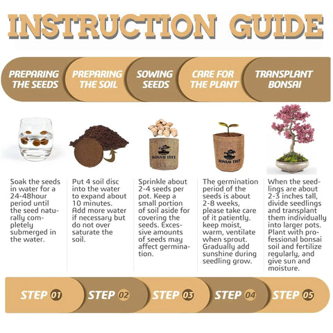 Instruction guide for Indoor Bonsai Garden Starter Kit With Five Seed Varieties Acacia Wisteria Red Maple Black Pine Judas Tree Easy Grow Kit With Planter Bags Soil Discs Markers Mini Tools Pruner Water Bottle Planter Box And Complete Gardening Guide, showing seed preparation and planting steps.