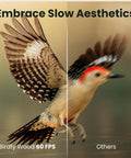 Comparison of bird captured in slow motion by Smart Solar Powered Bird Feeder With Camera, Slow Motion Video And Night Insight.