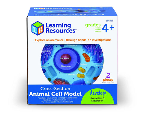 Box of Cross Section Animal Cell Model Kit For Hands On Biology 3D Foam Cell With Labeled Organelles And Blank Quiz Side