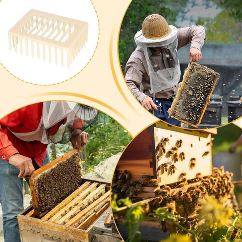 Beekeeping Queen Marker Cage Kit 20 Pack Clip Bee Catcher For Apiary Management And Hive Maintenance tools in use