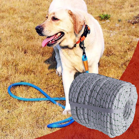 Labrador with blue leash and Heavy Duty 3/8 Inch 200 Ft Double Braid Polyester Rope for Outdoor Use, High Tensile Strength Pulling Rope.