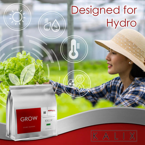 Grow Fertilizer For Hydroponics And Soil Water Soluble Veg Nutrients For Tomatoes Leafy Greens Herbs Pack in Greenhouse
