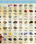 Rock Mineral And Geodes Treasure Hunt Kit With 250 Pieces Real Shark Teeth Fossils ID Sheet And Rock Book STEM Educational Toy For Kids Teens Hands On Science Activity