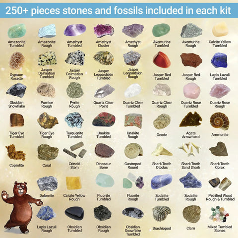 Rock Mineral And Geodes Treasure Hunt Kit With 250 Pieces Real Shark Teeth Fossils ID Sheet And Rock Book STEM Educational Toy For Kids Teens Hands On Science Activity