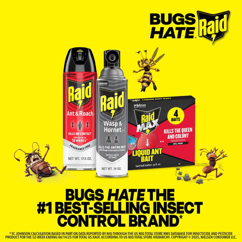 Ant And Roach Killer Spray For Home Use Fragrance Free Kills On Contact Insects Including Ants Cockroaches Spiders Waterbugs Palmetto Bugs 17.5 Oz Bottles 2 Count Fast Acting Household Pest Control on yellow background