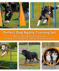 Dogs using All In One Dog Agility Training Kit For Epic Backyard Fun And Indoor Play With Tire Jump Hurdles Tunnel Weave Poles Pause Box