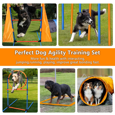 Dogs using All In One Dog Agility Training Kit For Epic Backyard Fun And Indoor Play With Tire Jump Hurdles Tunnel Weave Poles Pause Box