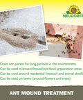 Ant Mound Treatment That Really Kills Foraging Ants With Pyrethrins A Botanical Insecticide Safe Around Homes Livestock And Animal