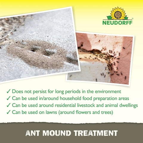 Ant Mound Treatment That Really Kills Foraging Ants With Pyrethrins A Botanical Insecticide Safe Around Homes Livestock And Animal