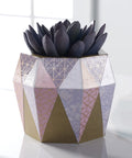 Geometric patterned vase with dark purple succulent on white surface