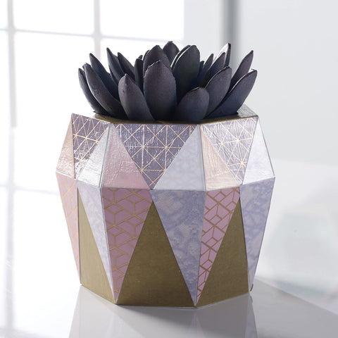 Geometric patterned vase with dark purple succulent on white surface