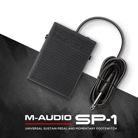 Universal Sustain Pedal For MIDI Keyboards And Digital Pianos With Polarity Switch Go To Lightweight Foot Switch