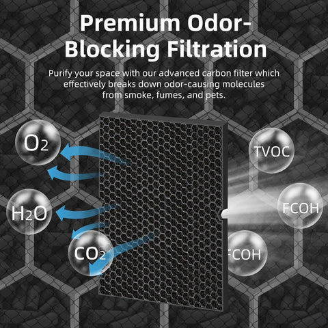 116130 HEPA Filter H For 5500 2 AM80 Plasmawave Air Purifier Replacement Pack 2 Combo High Efficiency H13 True HEPA Plus Activated Carbon blocking odors illustration